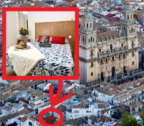 Catedral del AOVE, centro histórico, espacioso y tranquilo, Jaen